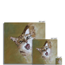 Load image into Gallery viewer, Happy Cat Fine Art Print