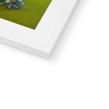 Load image into Gallery viewer, image1