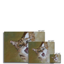 Load image into Gallery viewer, Happy Cat Canvas