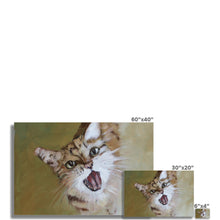 Load image into Gallery viewer, Happy Cat Fine Art Print