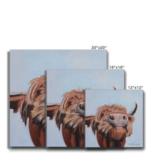 Load image into Gallery viewer, Cow Knows Canvas
