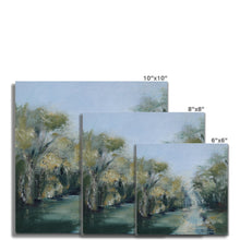 Load image into Gallery viewer, Morning Walks Velmead Woods Fine Art Print