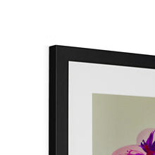 Load image into Gallery viewer, Bright Orchids Framed & Mounted Print