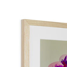 Load image into Gallery viewer, Bright Orchids Framed & Mounted Print