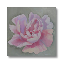 Load image into Gallery viewer, Blushing Peonie Canvas