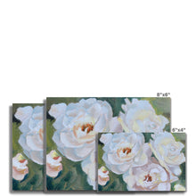 Load image into Gallery viewer, Iceberg Roses Fine Art Print