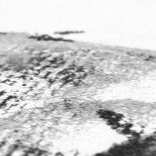 Load image into Gallery viewer, Baby Lion Canvas