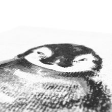 Load image into Gallery viewer, Baby Penguin Canvas