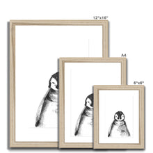 Load image into Gallery viewer, Baby Penguin Framed & Mounted Print