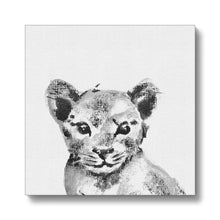 Load image into Gallery viewer, Baby Lion Canvas