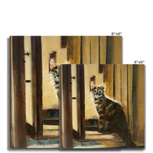 Load image into Gallery viewer, Catching Sunshine Hahnemühle Photo Rag Print