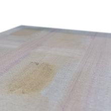 Load image into Gallery viewer, Making Friends Canvas