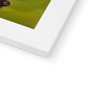 Load image into Gallery viewer, image10
