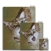 Load image into Gallery viewer, Happy Cat Canvas
