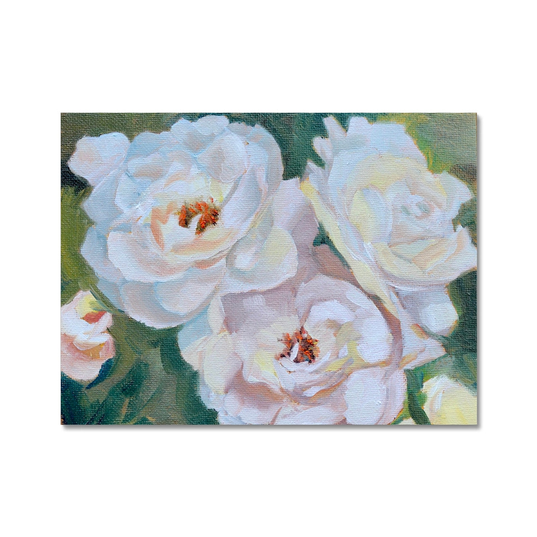 Iceberg Roses Fine Art Print