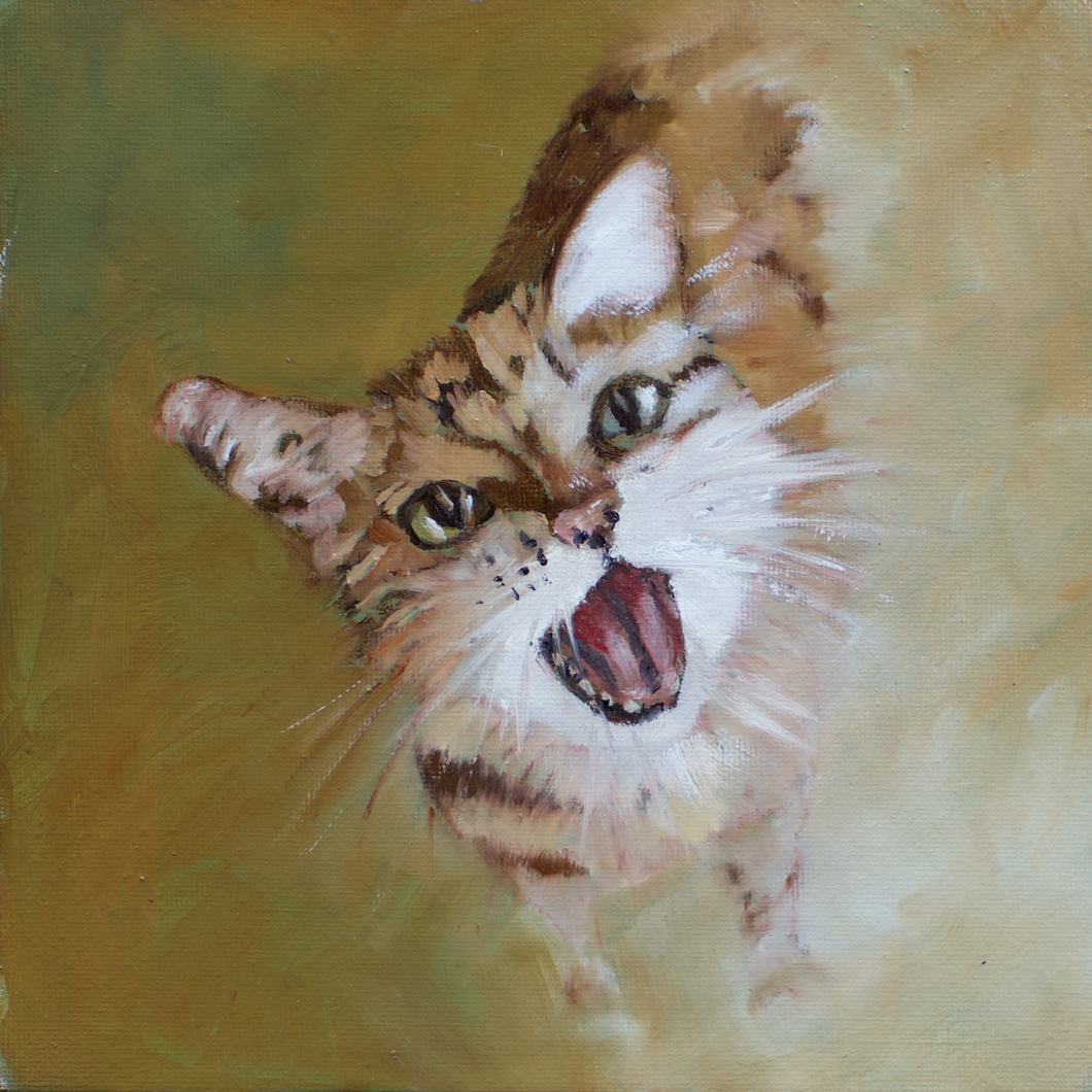 Happy Cat (20x20cm) Original Oil Painting