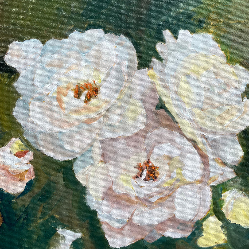 Iceberg Roses (20x20cm) Original Oil Painting