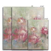 Load image into Gallery viewer, Little Prince Protea Fine Art Print
