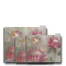 Load image into Gallery viewer, Little Prince Protea Canvas
